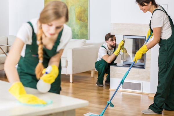 Royalty Cleaning and Carpet Cleaning Professionals