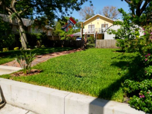 Retaining wall, reused old street bricks for walkway and new sod.  Great looking property!