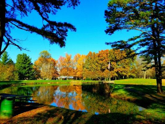 View from pond trail