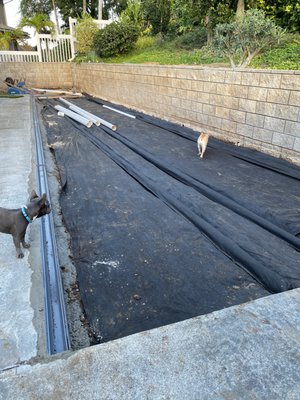 Laying drains