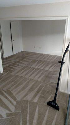 carpet cleaning, Owing, Md.