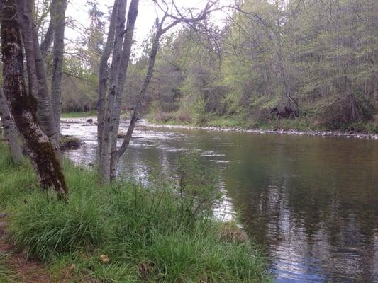 Pretty view of the Applegate River at Jackson Campground.