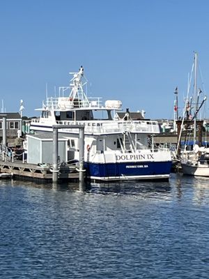 Celebrating my son's birthday with a whale watching trip