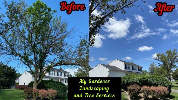 My Gardener Landscaping and Tree Services