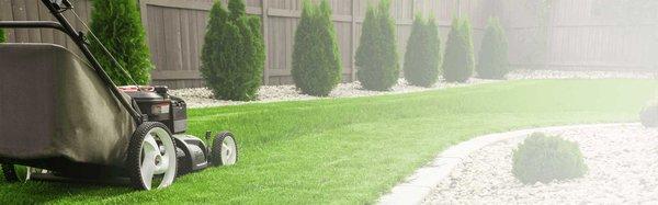 Green Lizard Lawn and Ground Care