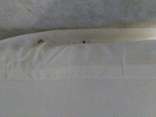 switch rooms both dirty bed bugs blood on sheets kinda hotel staff gave us 20 bucks out his pocket told us to ck out this ant a 5star hotel