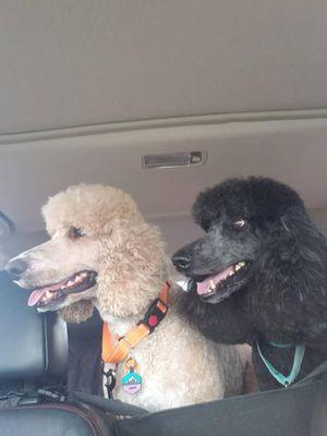 Ginger and Sera  after spa day!