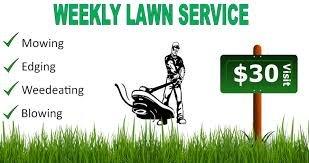 Carter's Lawn & Pest Control Service