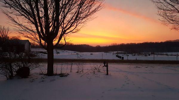 Sunrise on the farm .