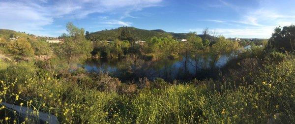 Pantographic view of the San Diego River that runs parallel to the park trails.