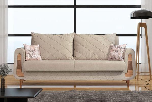 Brooklyn Brown Sofa Sleeper by Skyler Designs