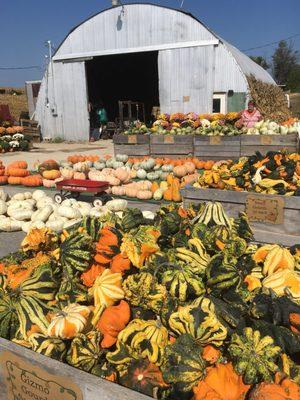 Odelehr's Roadside Market