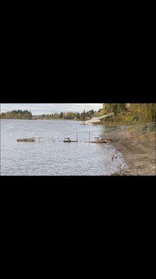 This well built fence may not withstand a 40' cedar barreling down river this winter.