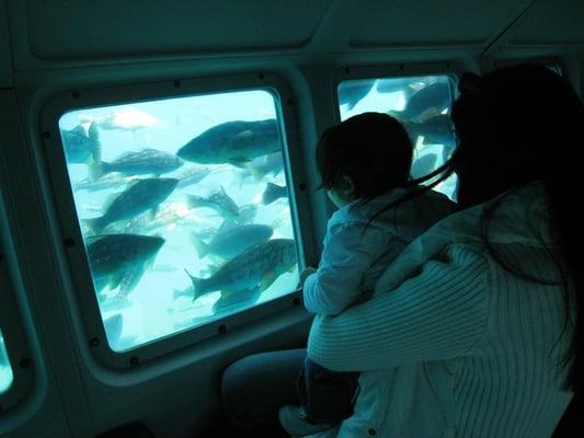 wife and baby enjoying the fish!