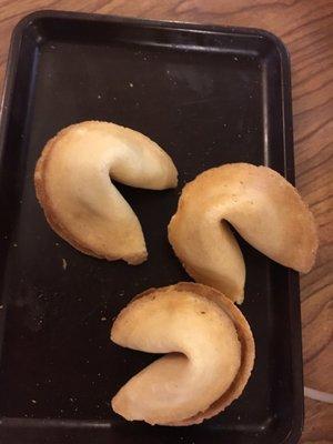 Fortune cookies - yum