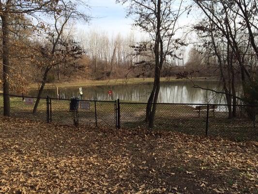 Pond at the dog park in Blue Springs.