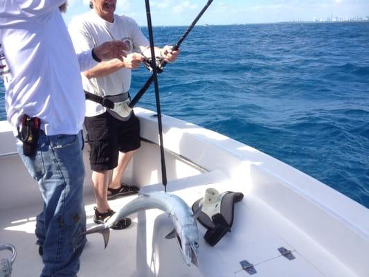 Nice sized mackerel in the boat!