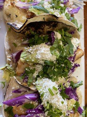 Perfectly plated grilled black drum fish tacos.