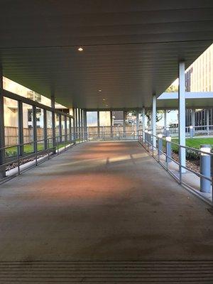 Walkway to building