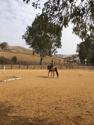 Horseback riding at the farm