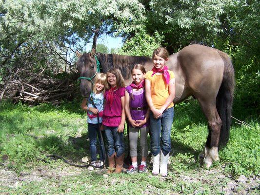 Brighton Meadows Equestrian Center