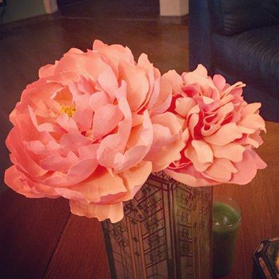 Paper flowers from the crimson poppy