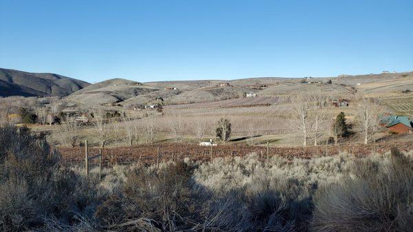 View from outdoor patio where wine tasting happens