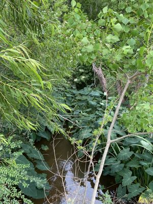 MGCCC Jackson County Recreational Walking Trail