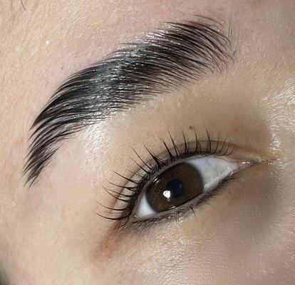 Brow and lash lamination