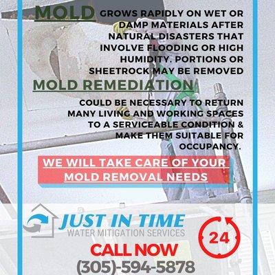 Mold Remediation