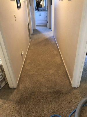 Carpet Restoration Company