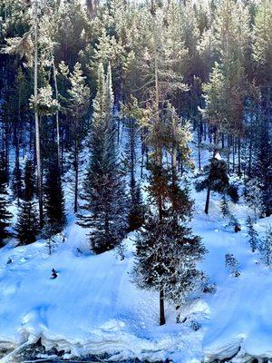 Teton Valley Adventures