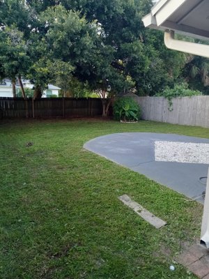 Back yard,  after Lawn Maintenance.