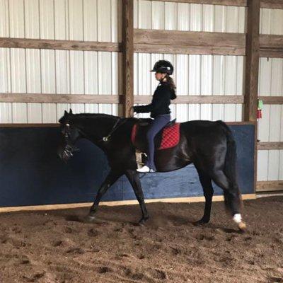 First day of summer camp underway! Core Strengthening and no stirrup work for some!