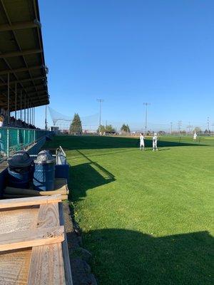 Lefties Baseball