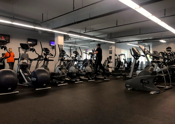 We have cardio equipment including treadmills, ellipticals, stair climbers, upright and recumbent bicycles, arc trainers and more.