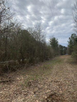 Palmetto Forestry Mulching & Land Management