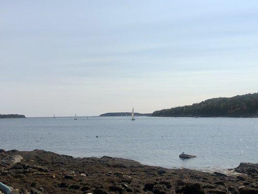 View from Cabbage Island