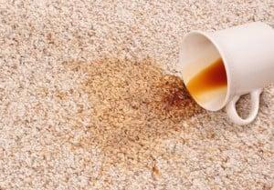 Spot Treatment | Stain Removal | Carpet Deodorizing Sarasota