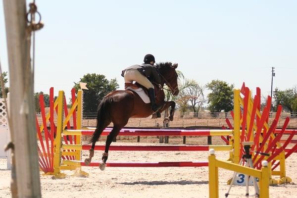 Trainer, Johanna Merager, competing locally at Leone Equestrian