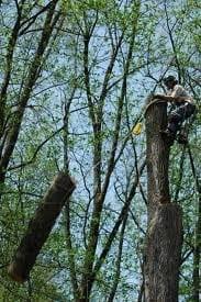 John's Tree Service