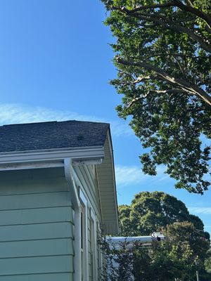 Tree limbs overhanging my house trimmed back so that insurance company would renew my policy