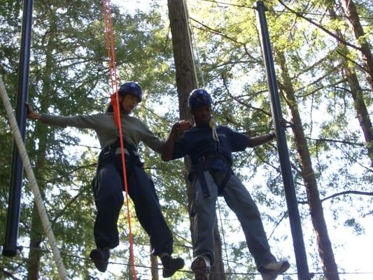 Apex can offer a wide variety of team building programs, including challenge ropes courses throughout the Bay Area.