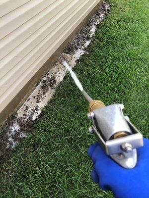 Termite Treatment