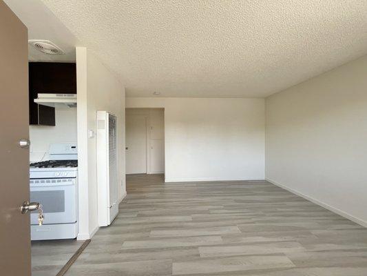 Livingroom area / Entrance to apartment