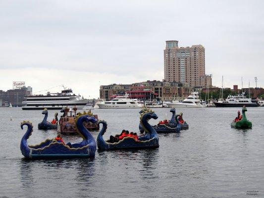 A view of the Patapsco River within the Baltimore Inner Harbor. Here you will find boats, yachts, ships, water taxis, and sea monsters.