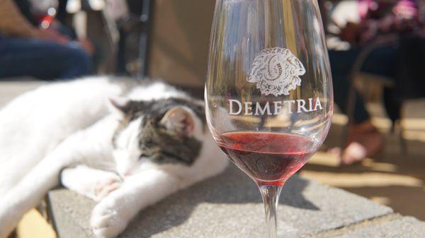 There are a lot of friendly cats at Demetria! Excellent wine!