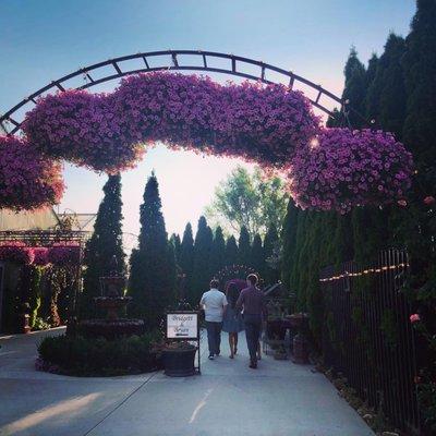 Entrance to both greenhouses, left for the south and later right for the north.