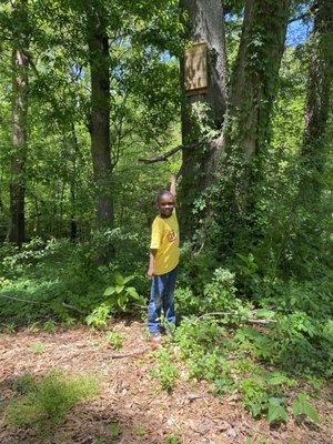 Our  bat scavenger hunt at our outdoor summer program. We have 5 bat boxes located in the Food Forest. Our Star-Seed winner found the most!