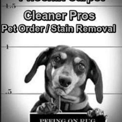 Don't let your pets be wanted as a outlaw for leaving pet stains & ordors give us a call 602-403-7248